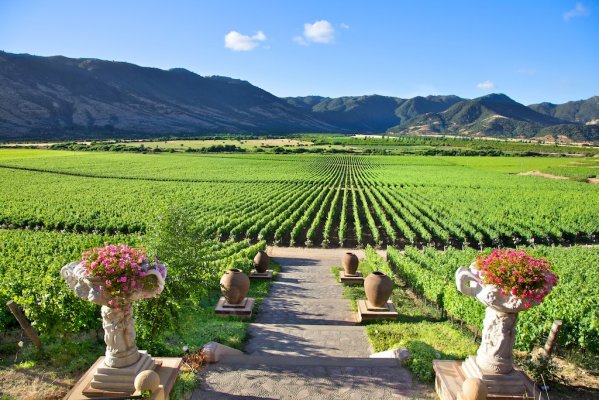 11062-la-magica-ruta-del-vino-en-valle-de-colchagua