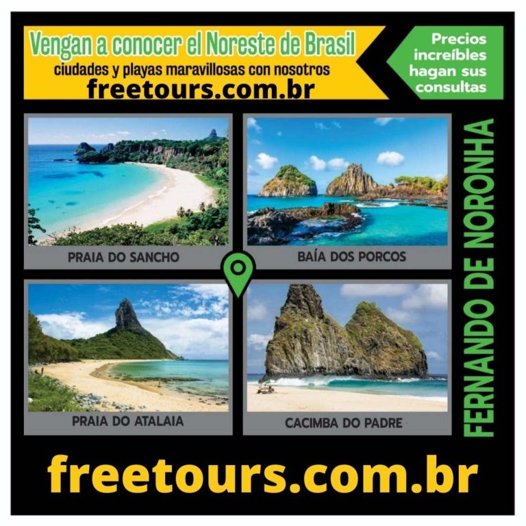 Free tours.com.br (1)